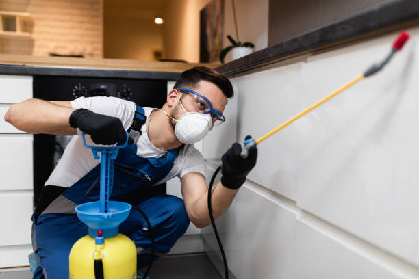 Best Residential Pest Control  in Robbins, NC