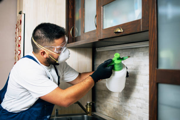 Best Pest Control Near Me in Robbins, NC