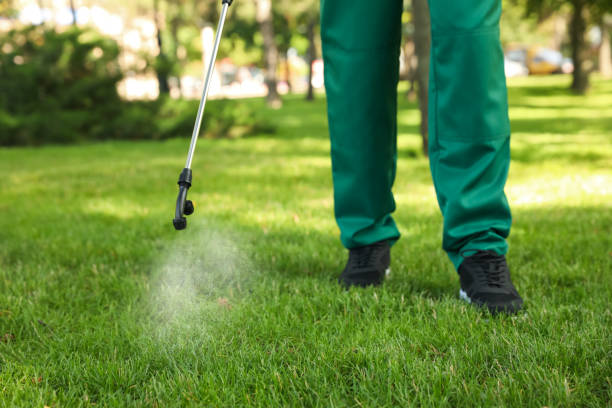 Best Termite Control Services  in Robbins, NC