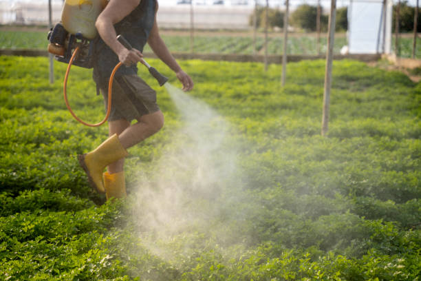 Best Best Pest Control Companies  in Robbins, NC