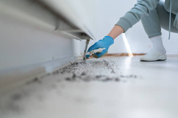 Best Bed Bug Extermination  in Robbins, NC