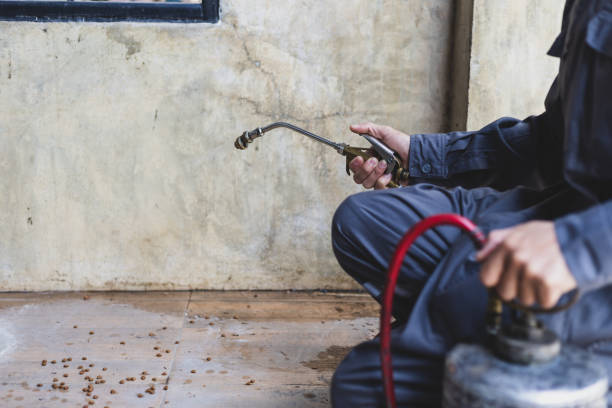 Best Commercial Pest Control Services  in Robbins, NC